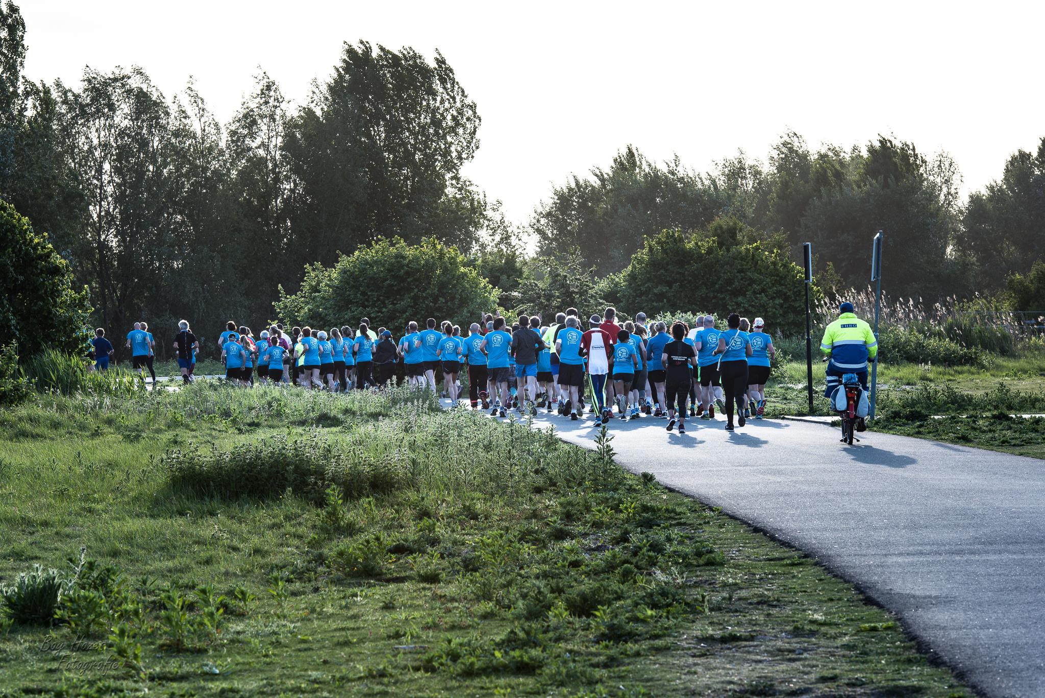 Een groep deelnemers in blauwe shirts loopt door het groen tijdens de Hardloopavond4daagse van 2018.